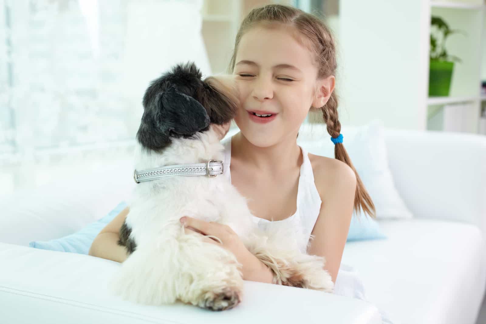 niña feliz jugando con perro shih-tzu en casa
