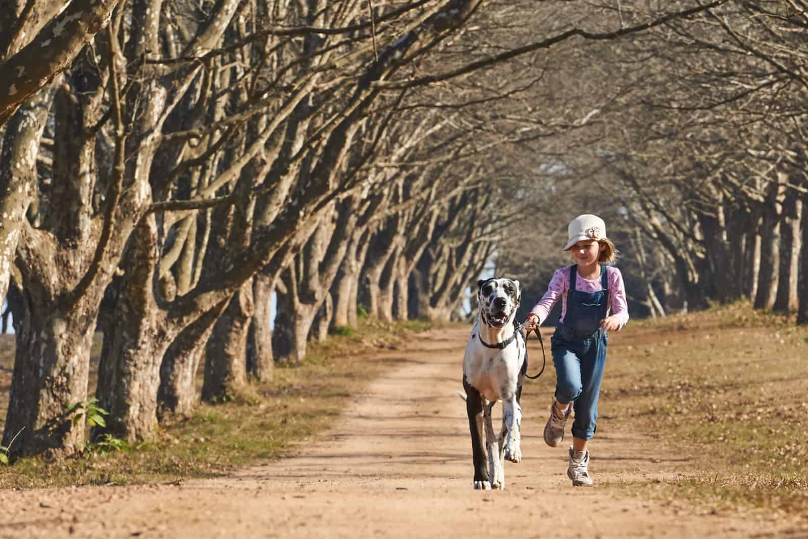 niña corriendo con su perro gran danés