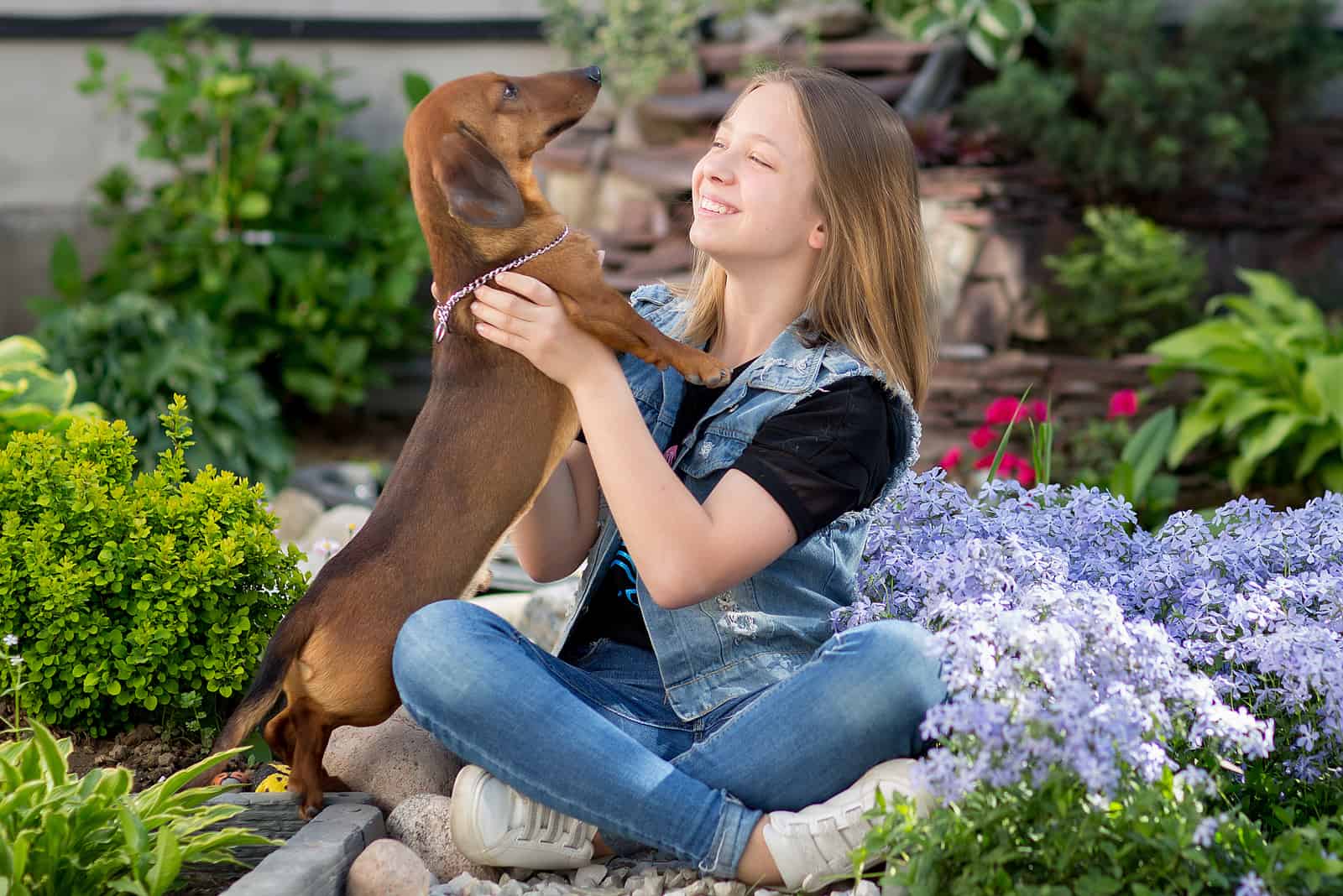 niña jugando con un Dachshund