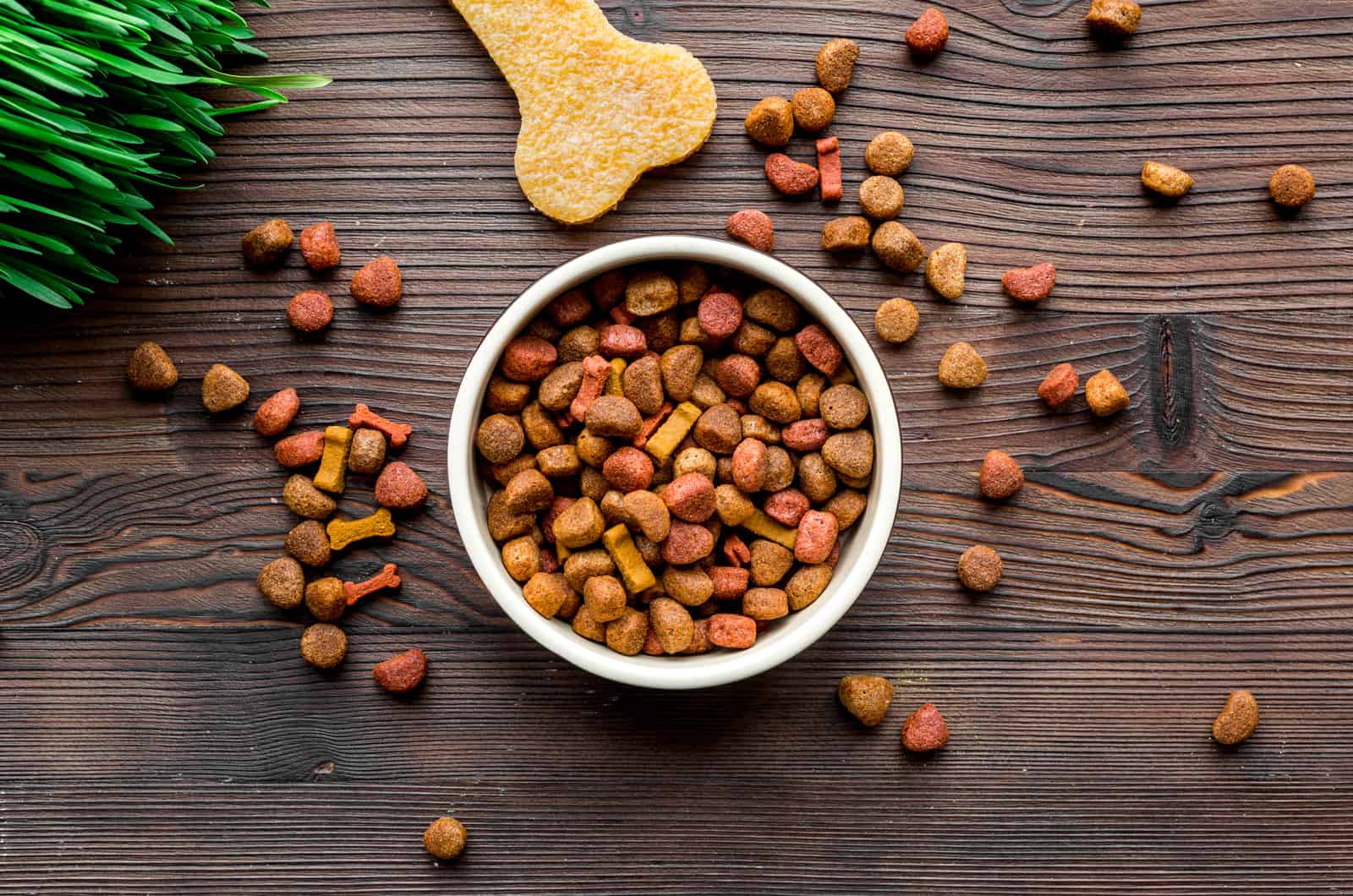 Comida de perros con grano en la mesa