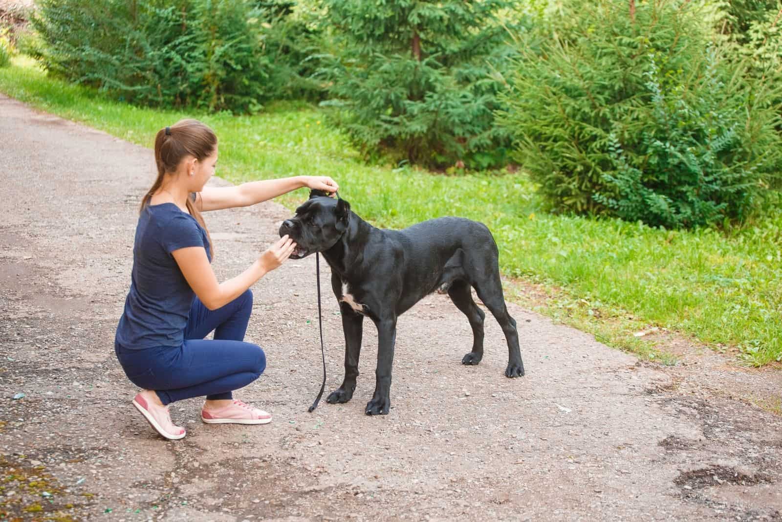 guía con un perro cane corso italiano en el parque