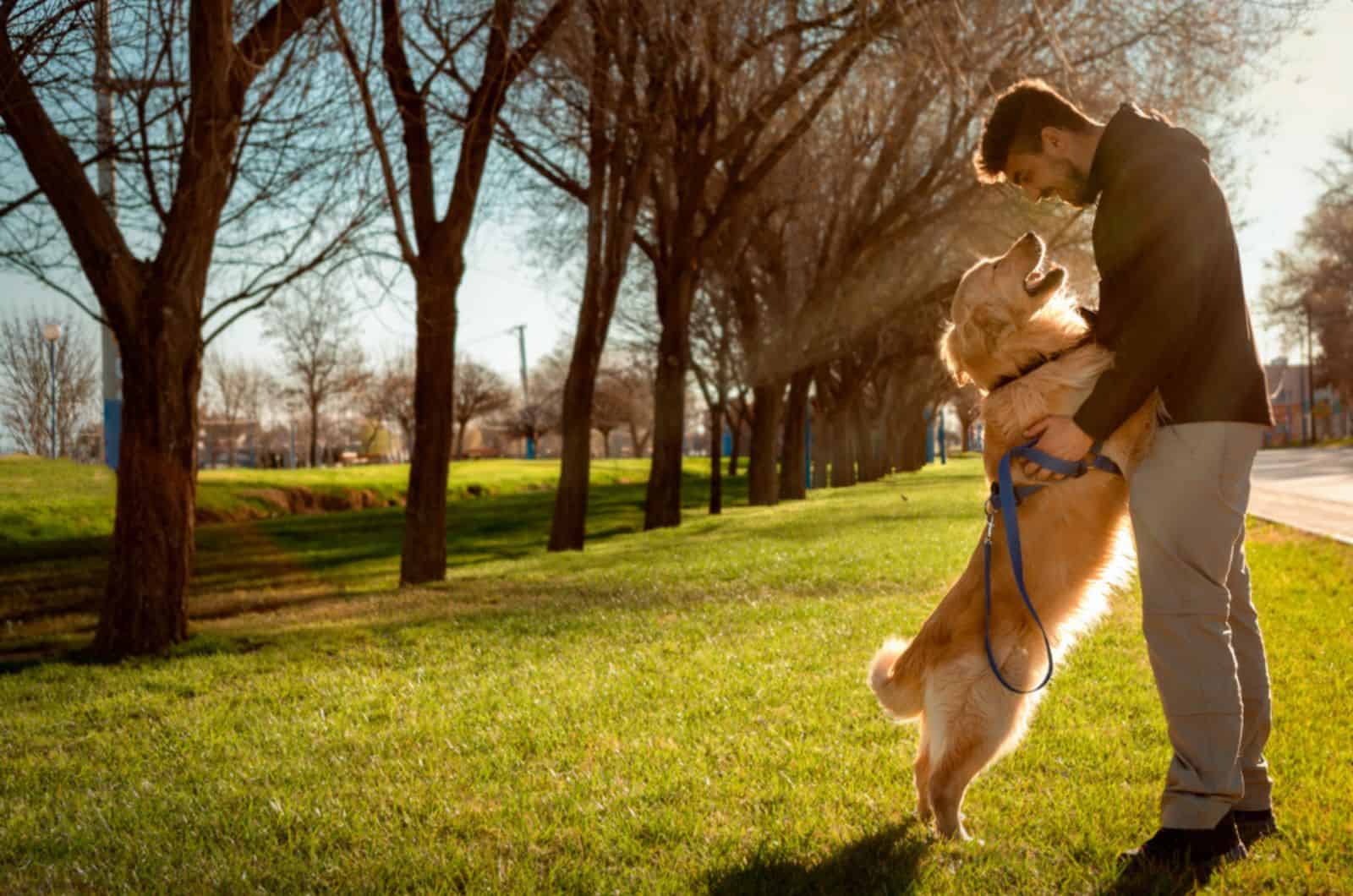 perro feliz jugando con su dueño en el parque