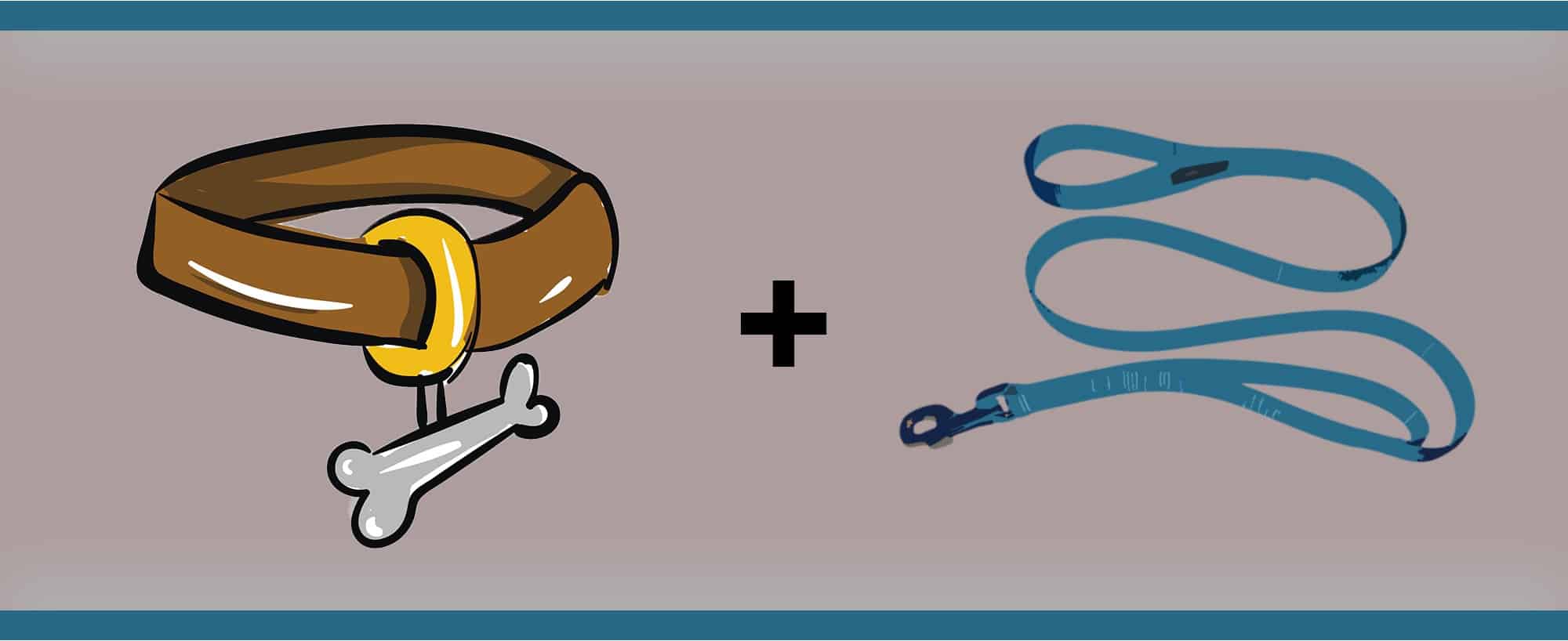 ilustración de un collar y correa, concepto de redomesticación