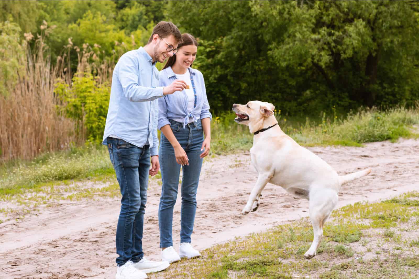 en la naturaleza una pareja joven le da un premio a su alegre perro