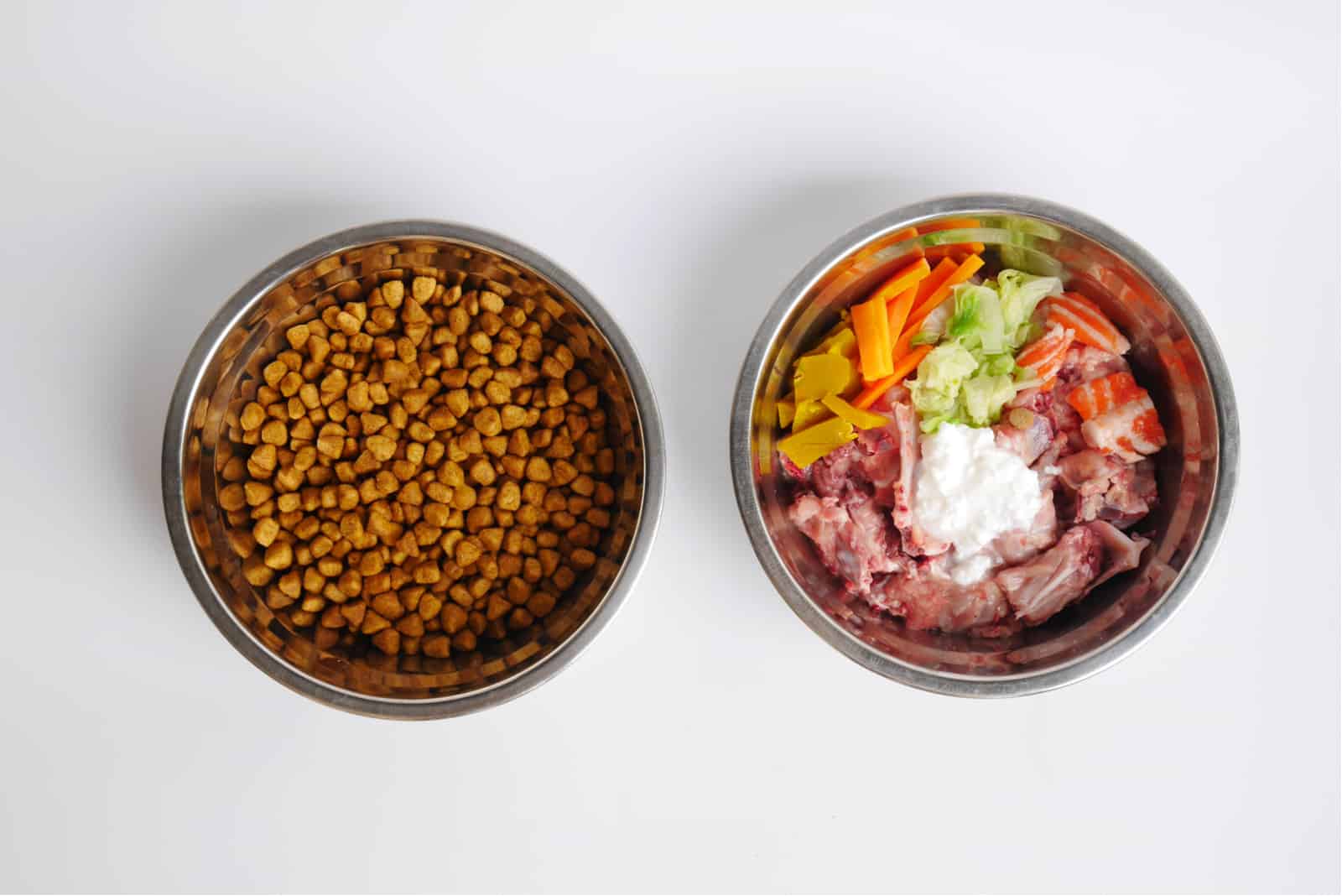 Croquetas y comida cruda para perros