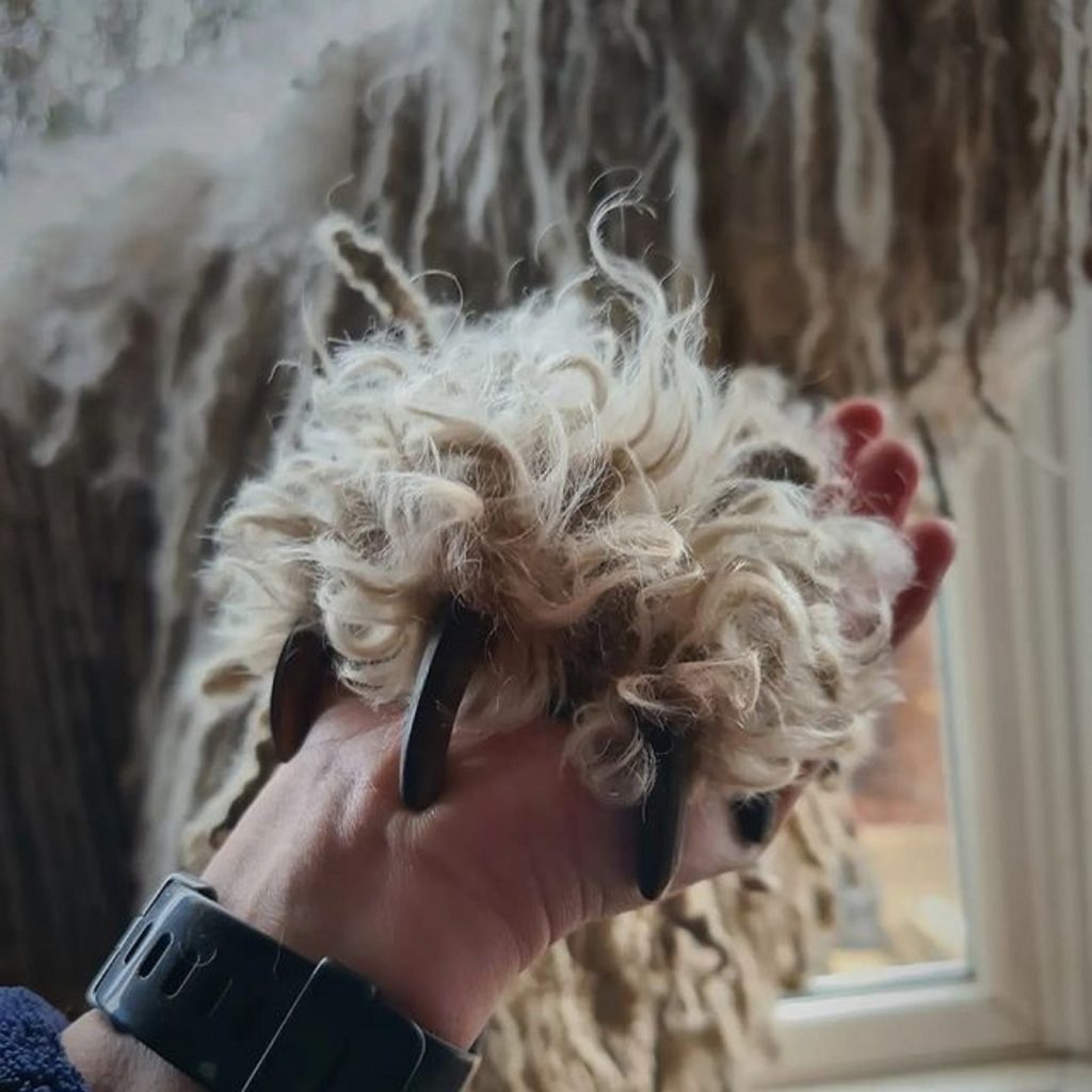 uñas de perro komondor