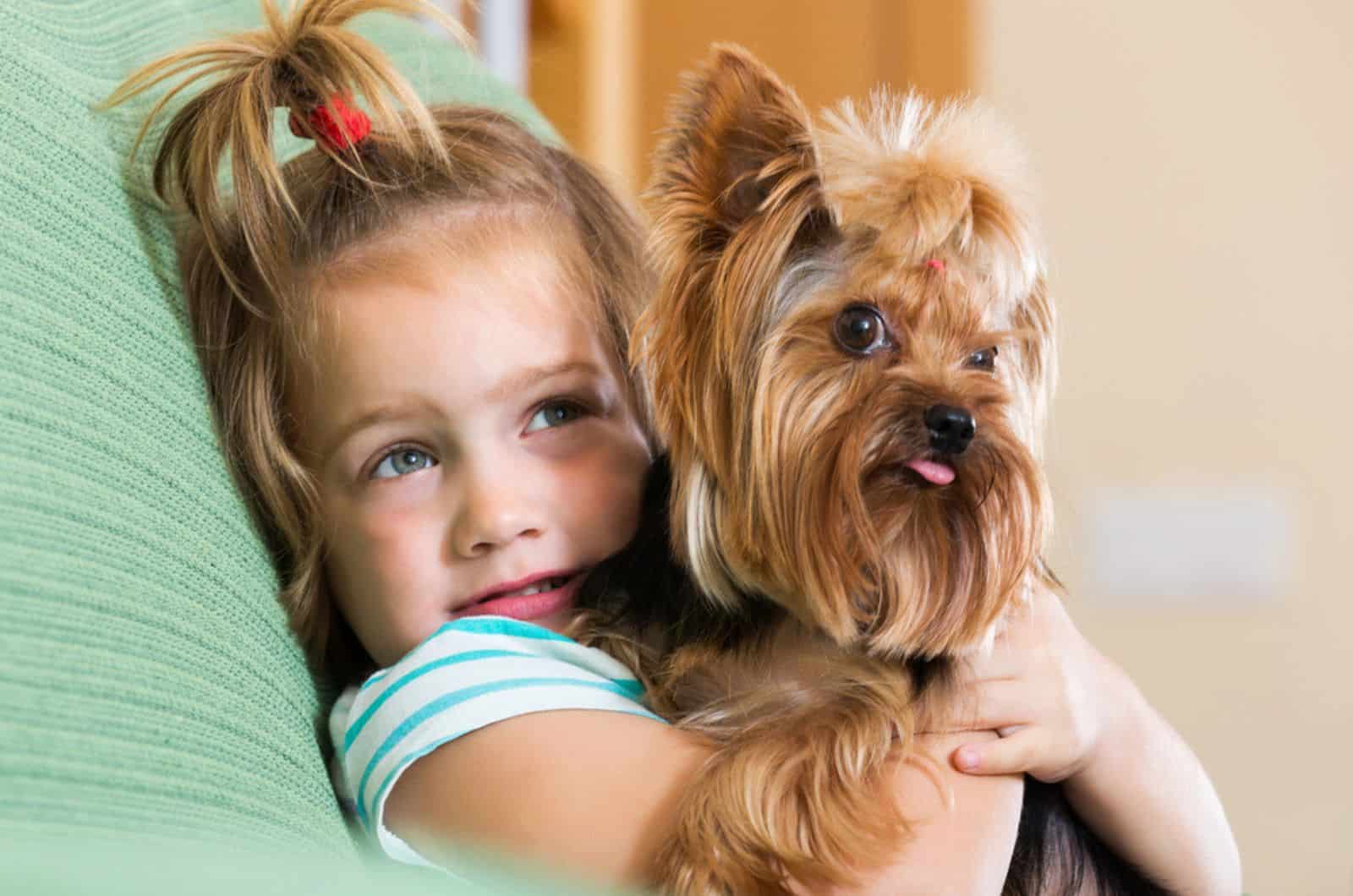 niña pequeña jugando con su perro yorkshire terrier