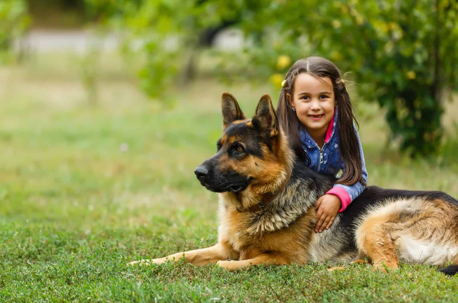niña pequeña posando con pastor alemán para foto