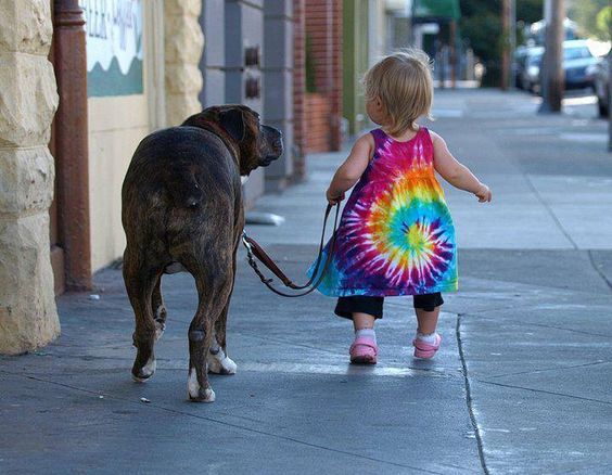 niña pequeña paseando a su perro con una correa