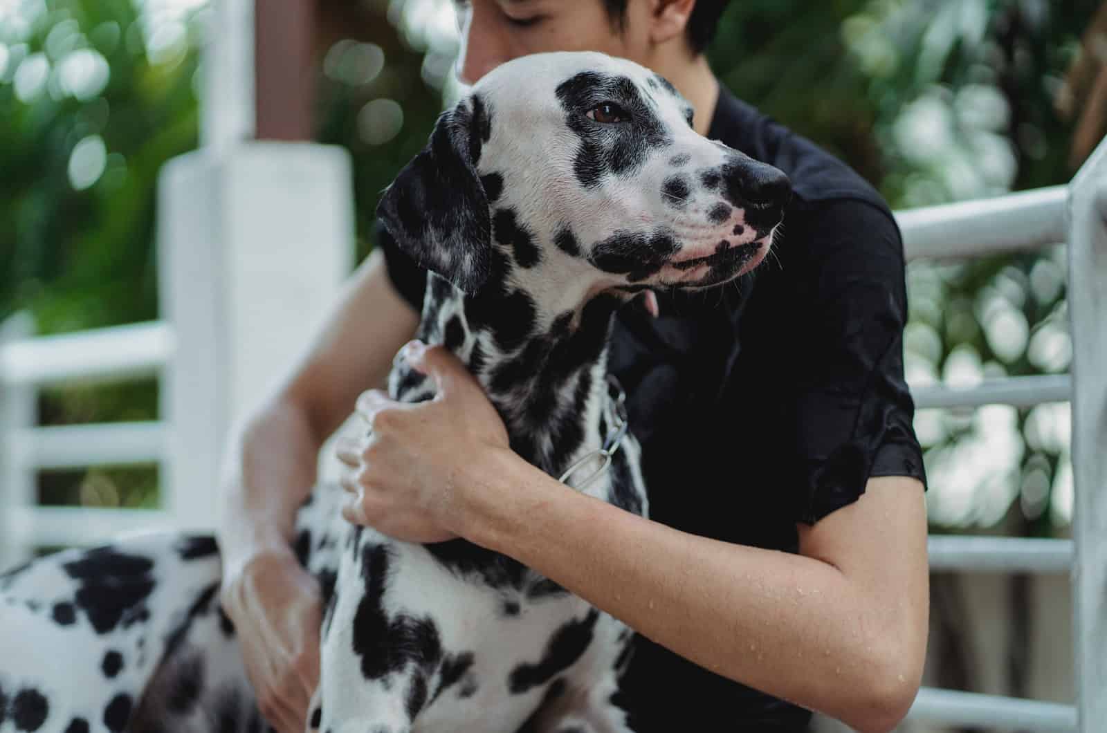 hombre abrazando a su perro dálmata