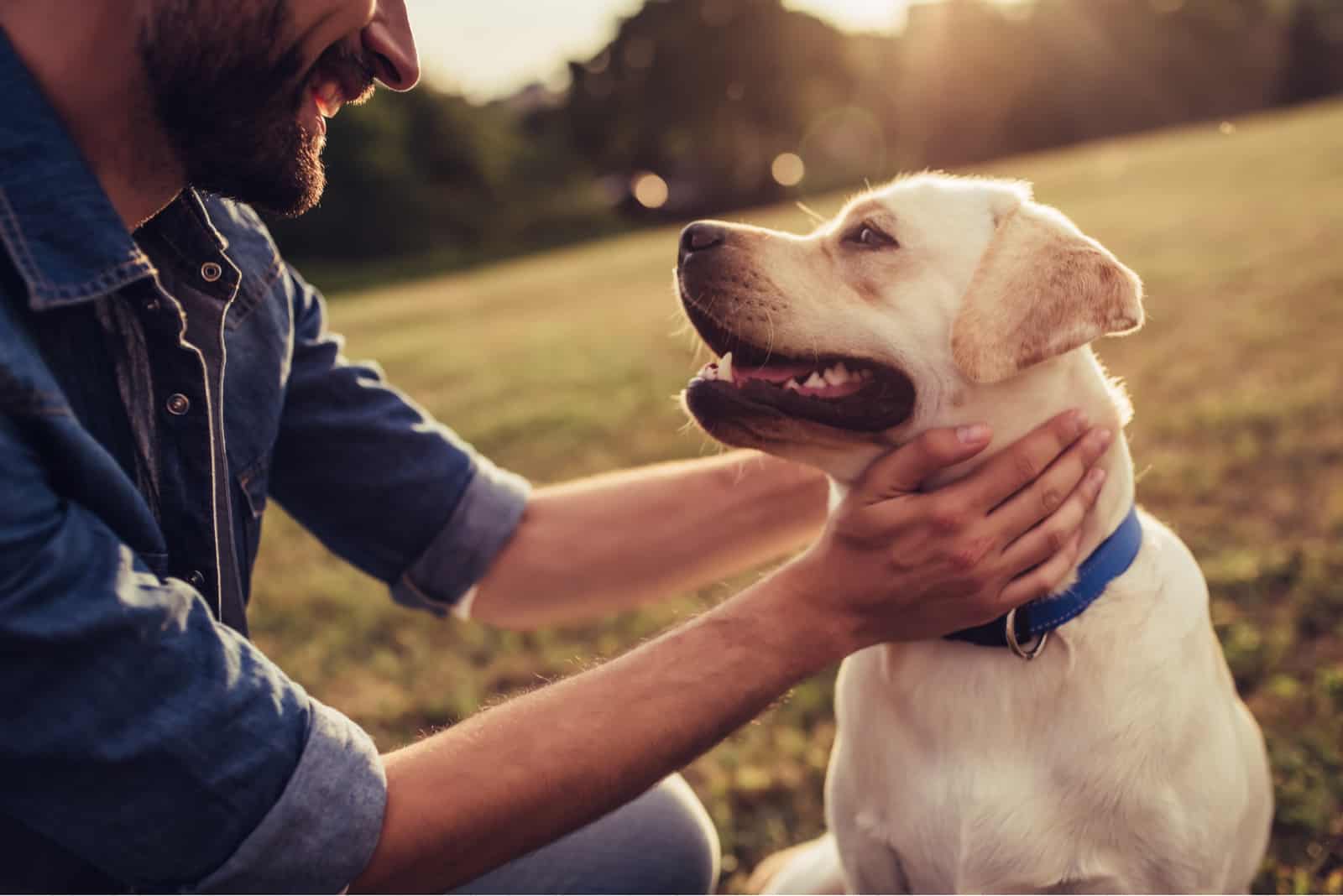 hombre acariciando a su perro