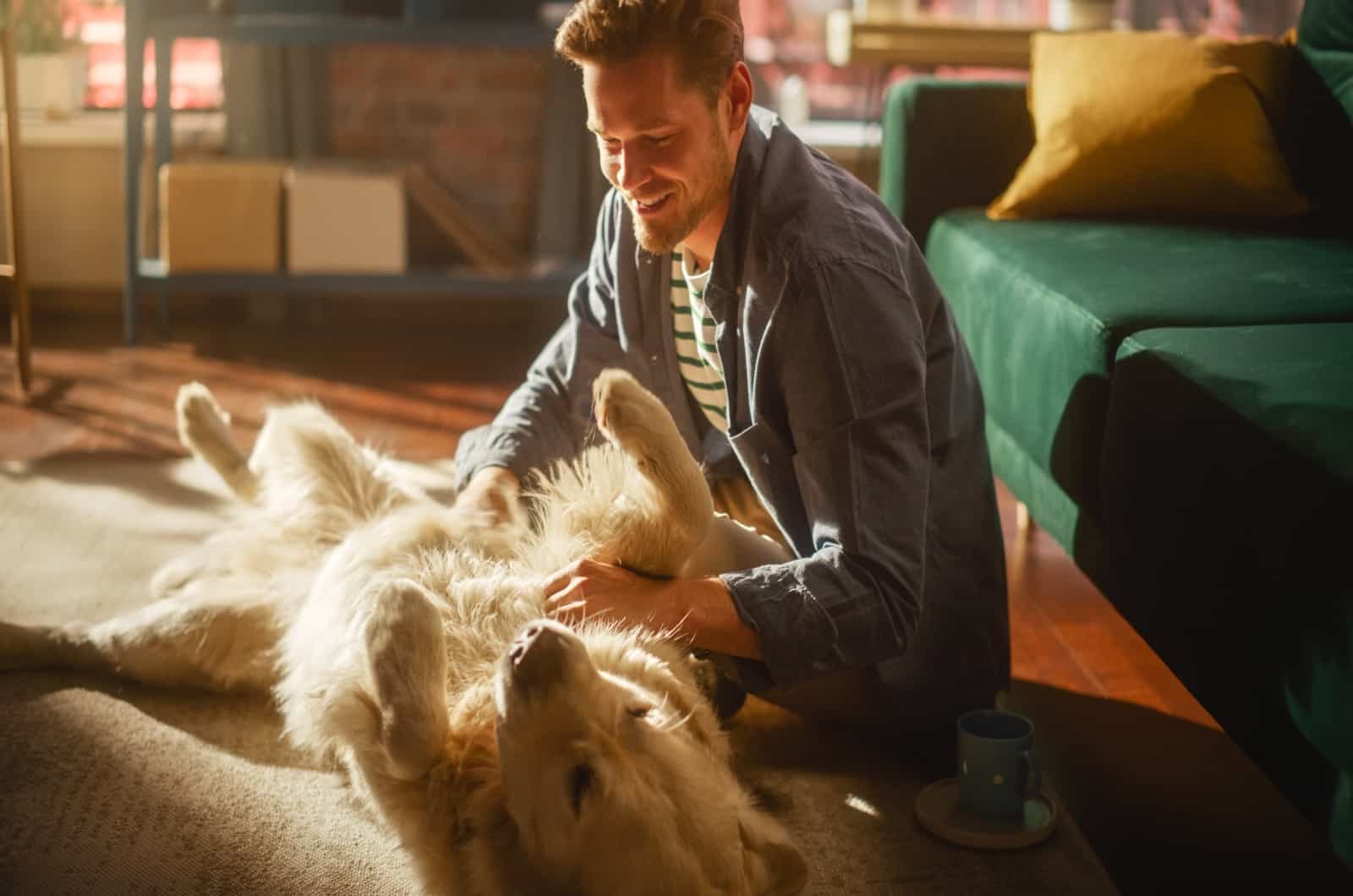 hombre rascando perro