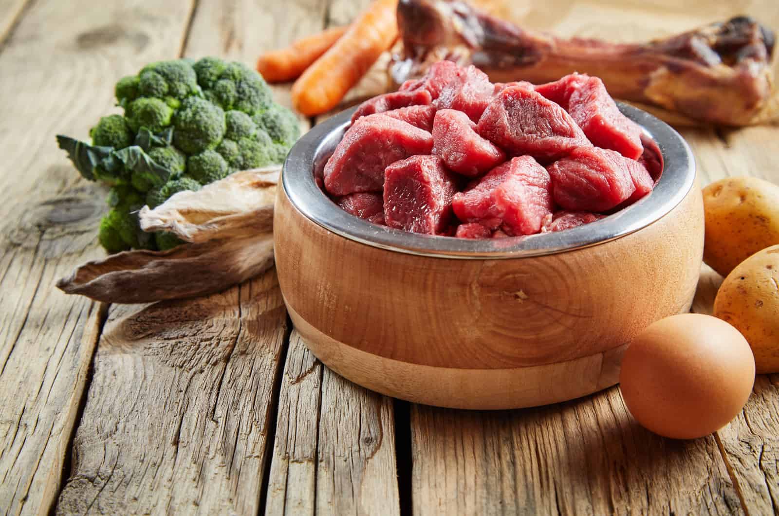 Comida de carne para perros