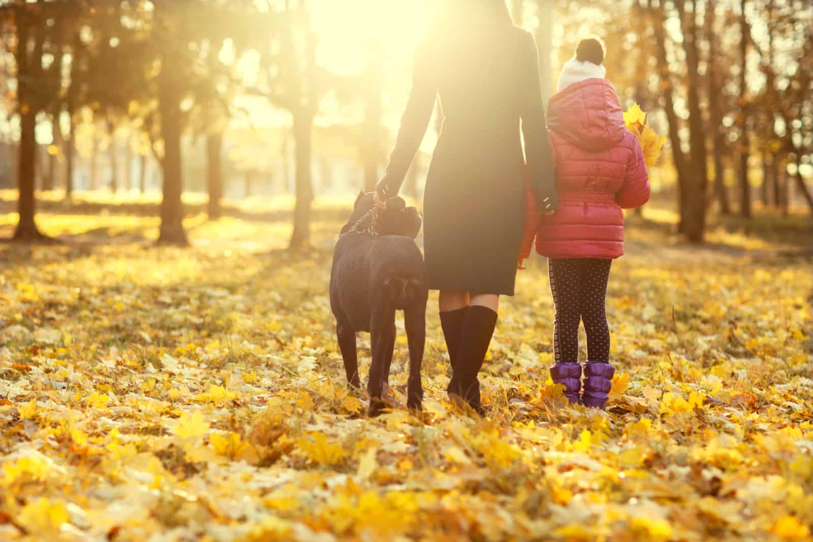 madre e hija caminando con su cane corso