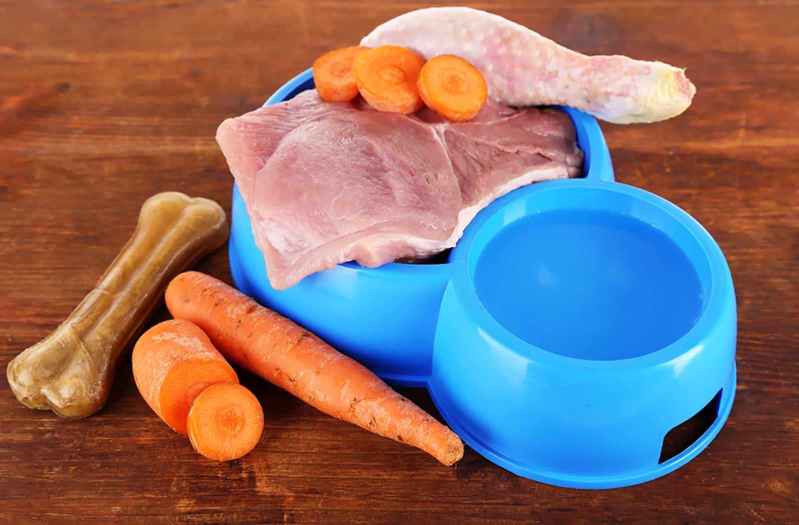 comida natural para perros en un tazón de plástico