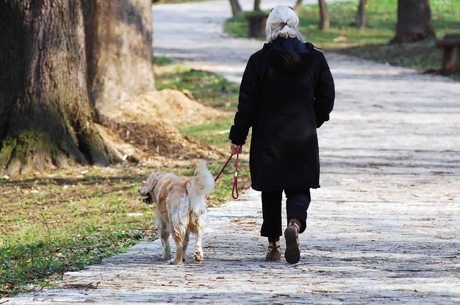 mujer mayor caminando con su perro en el parque