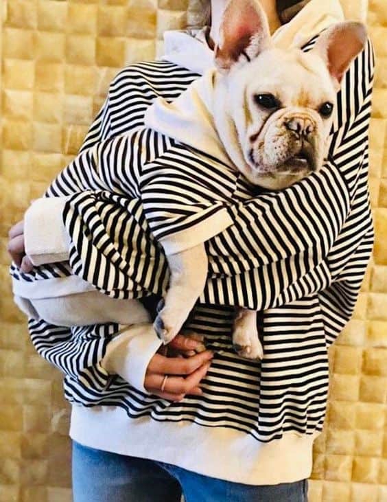 dueño y su perro con ropa a juego
