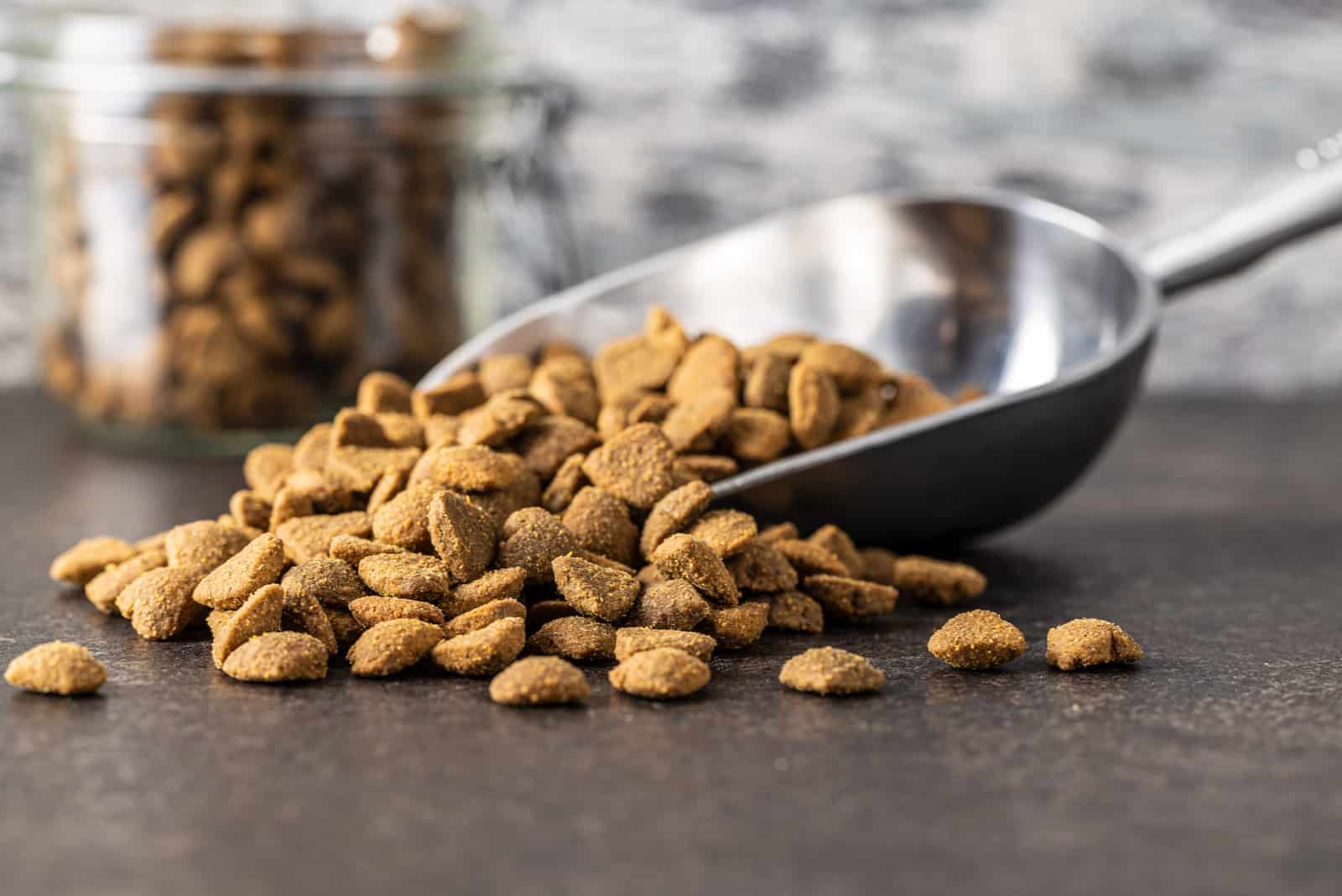 comida para mascotas kibble sobre la mesa