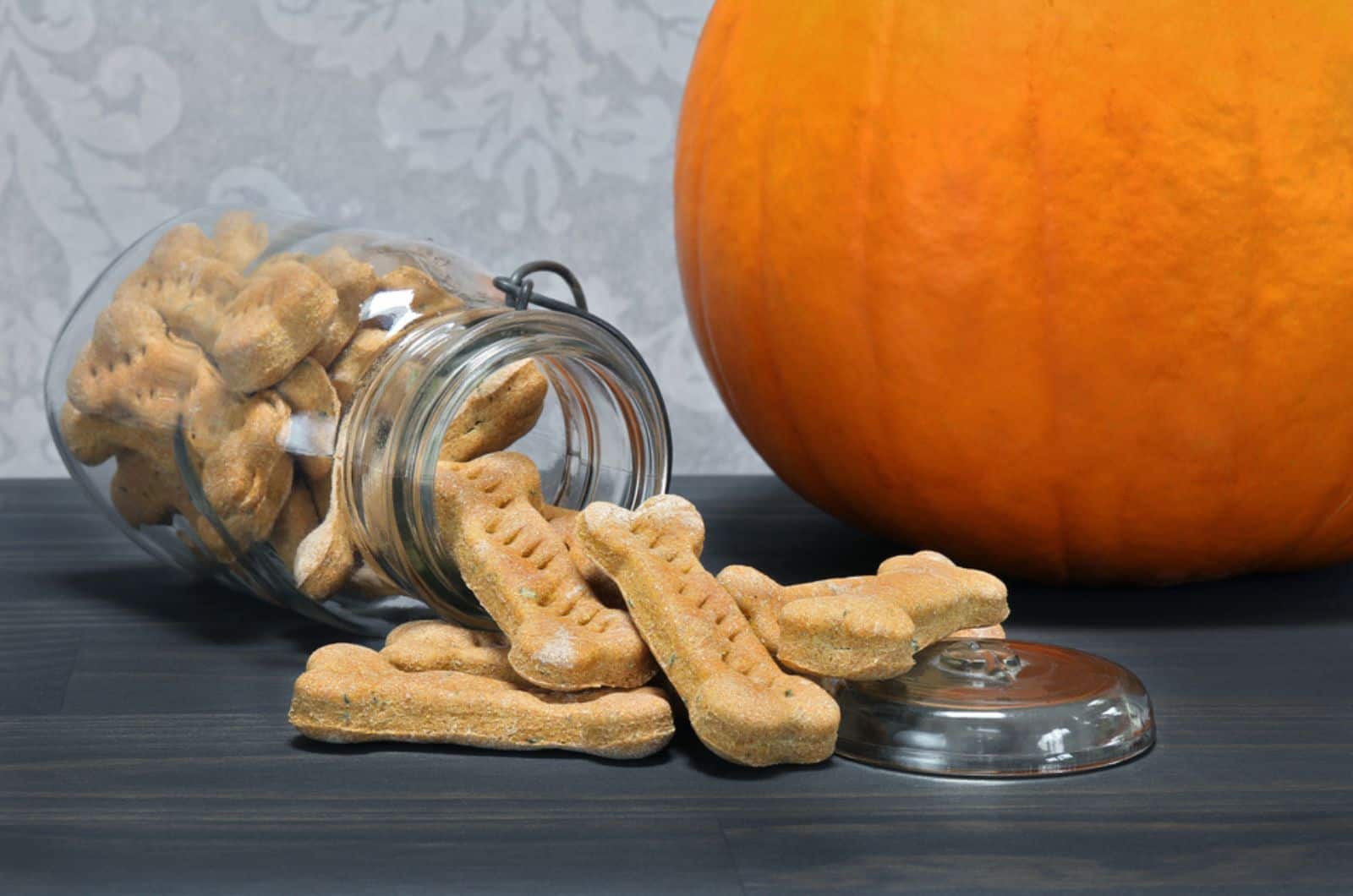 galletas para perro con forma de hueso y una calabaza al lado