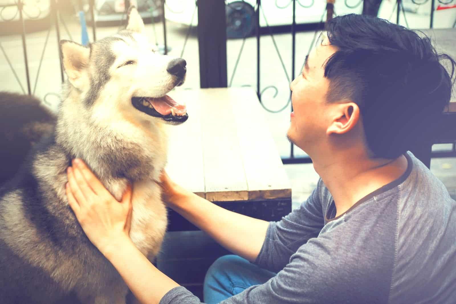 husky siberiano riendo con su dueño
