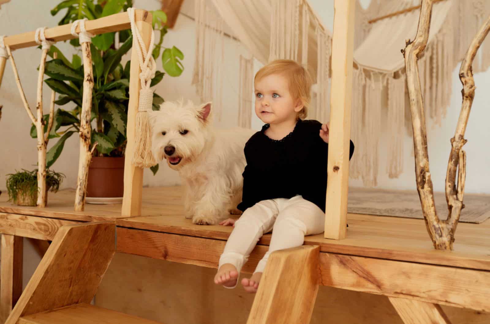 perro pequeño y bebé sentados en escaleras de madera