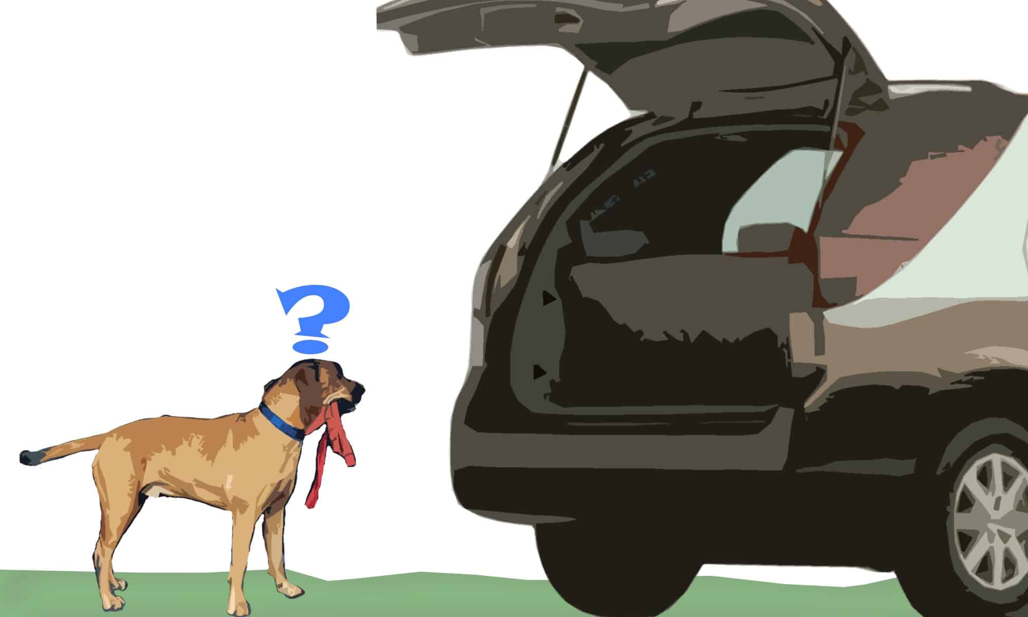 perro callejero de pie al lado de un coche