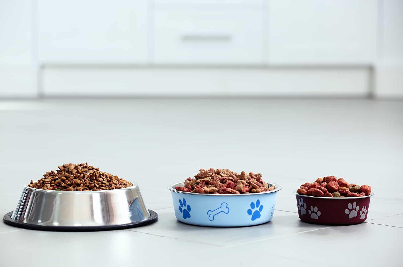 tres cuencos de comida para perro