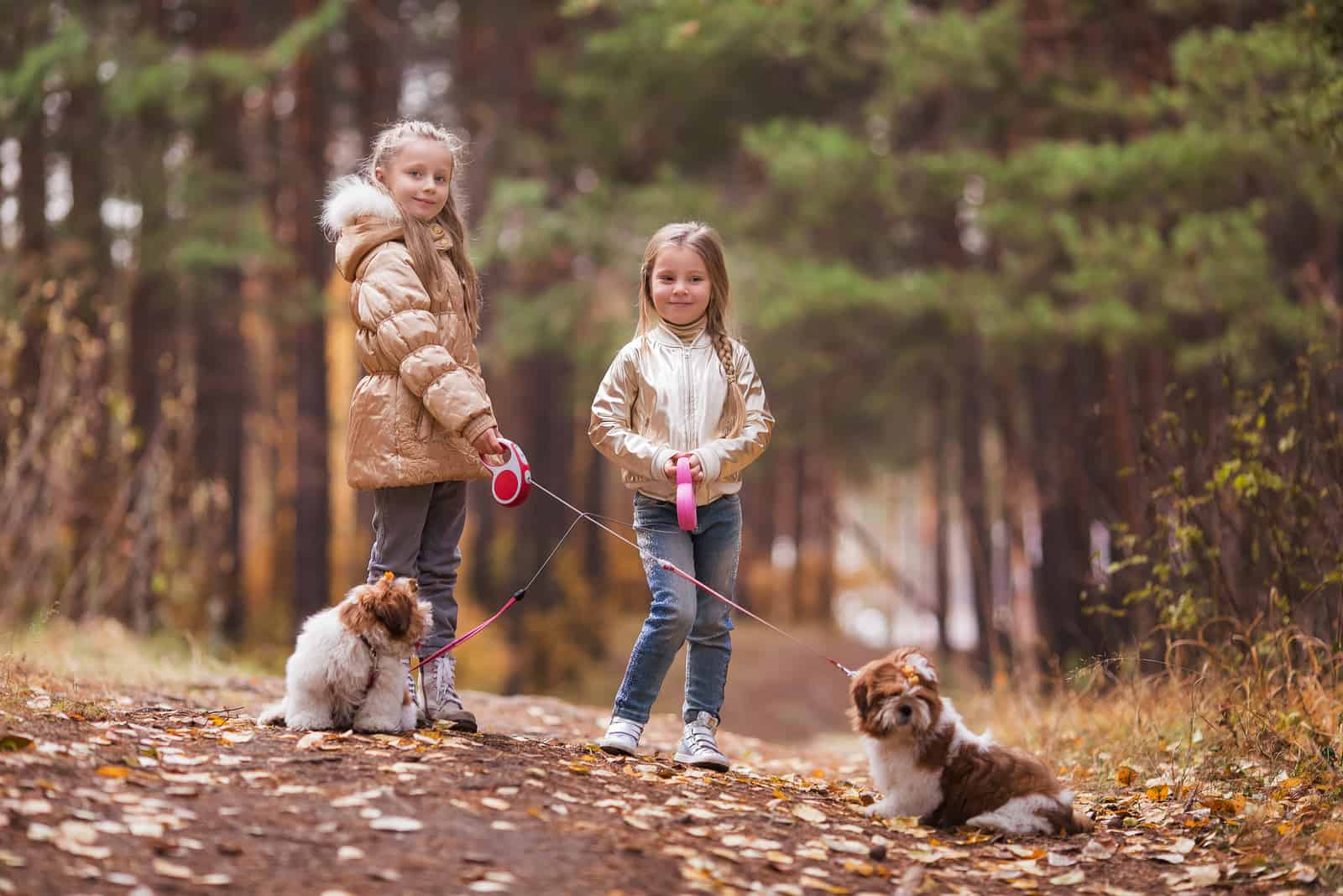 dos niñas pequeñas caminando con sus perros Shih Tzu