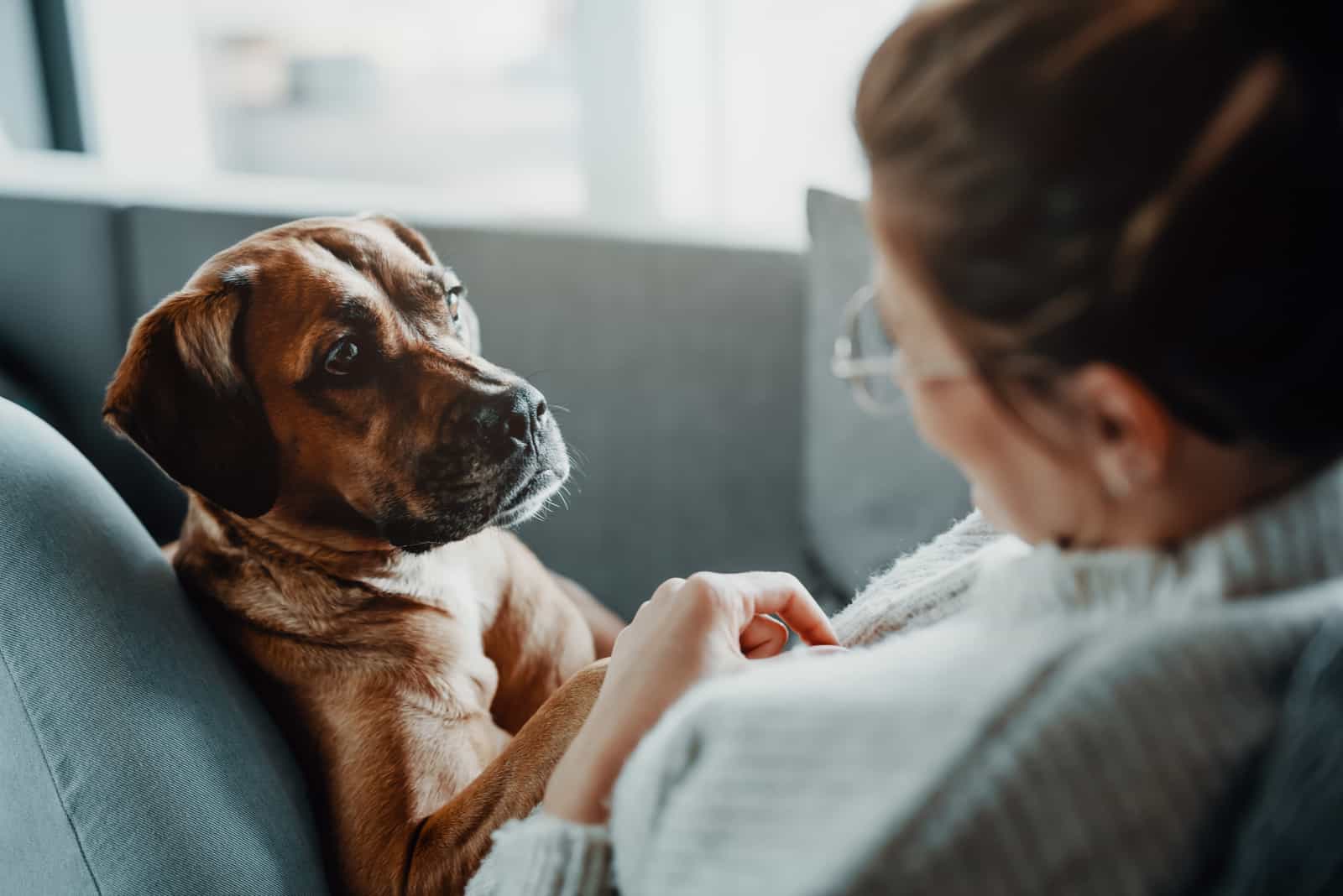 mujer y perro en el sofá de cerca