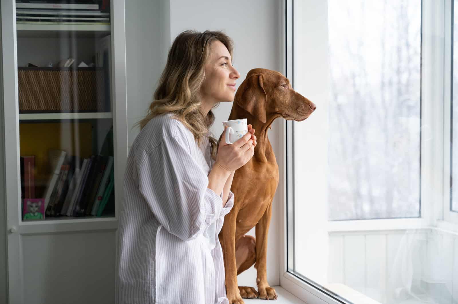 mujer y su perro vizsla mirando por la ventana