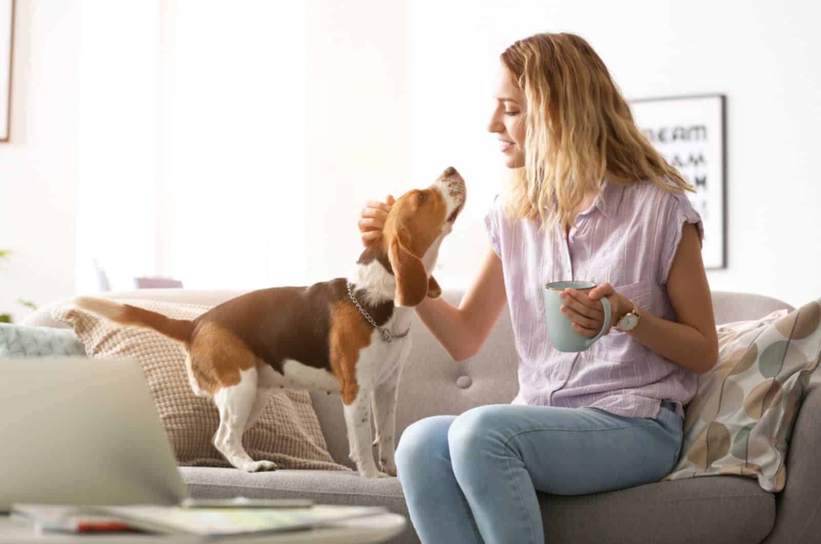 Mujer acurrucando a su beagle en el sofá