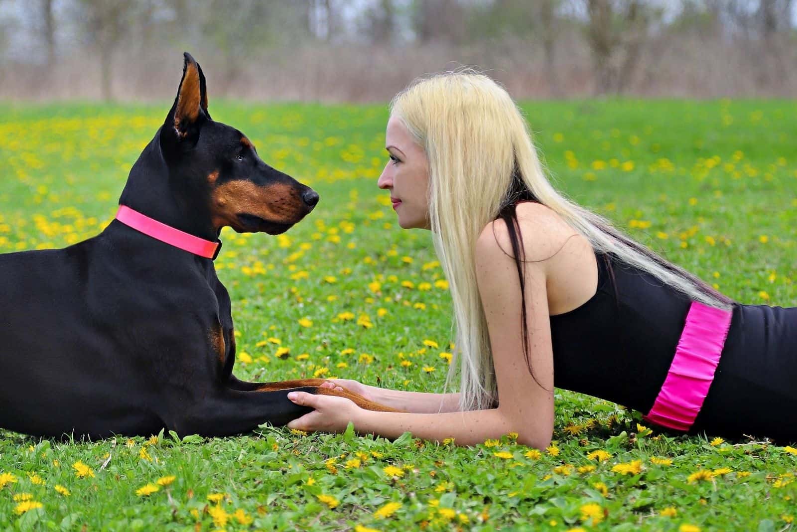 mujer frente a un doberman tumbado en el suelo al aire libre