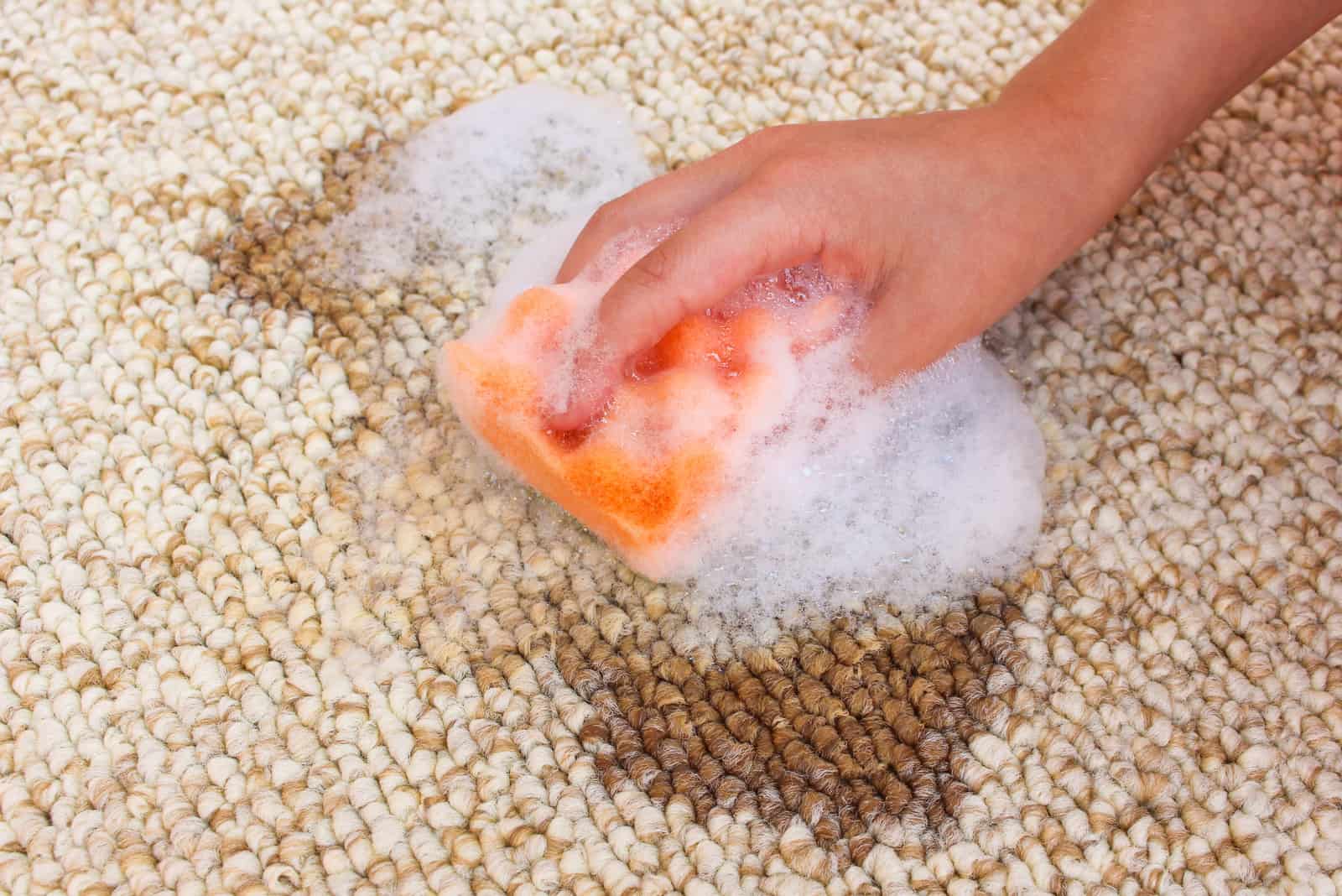 mujer limpia alfombra