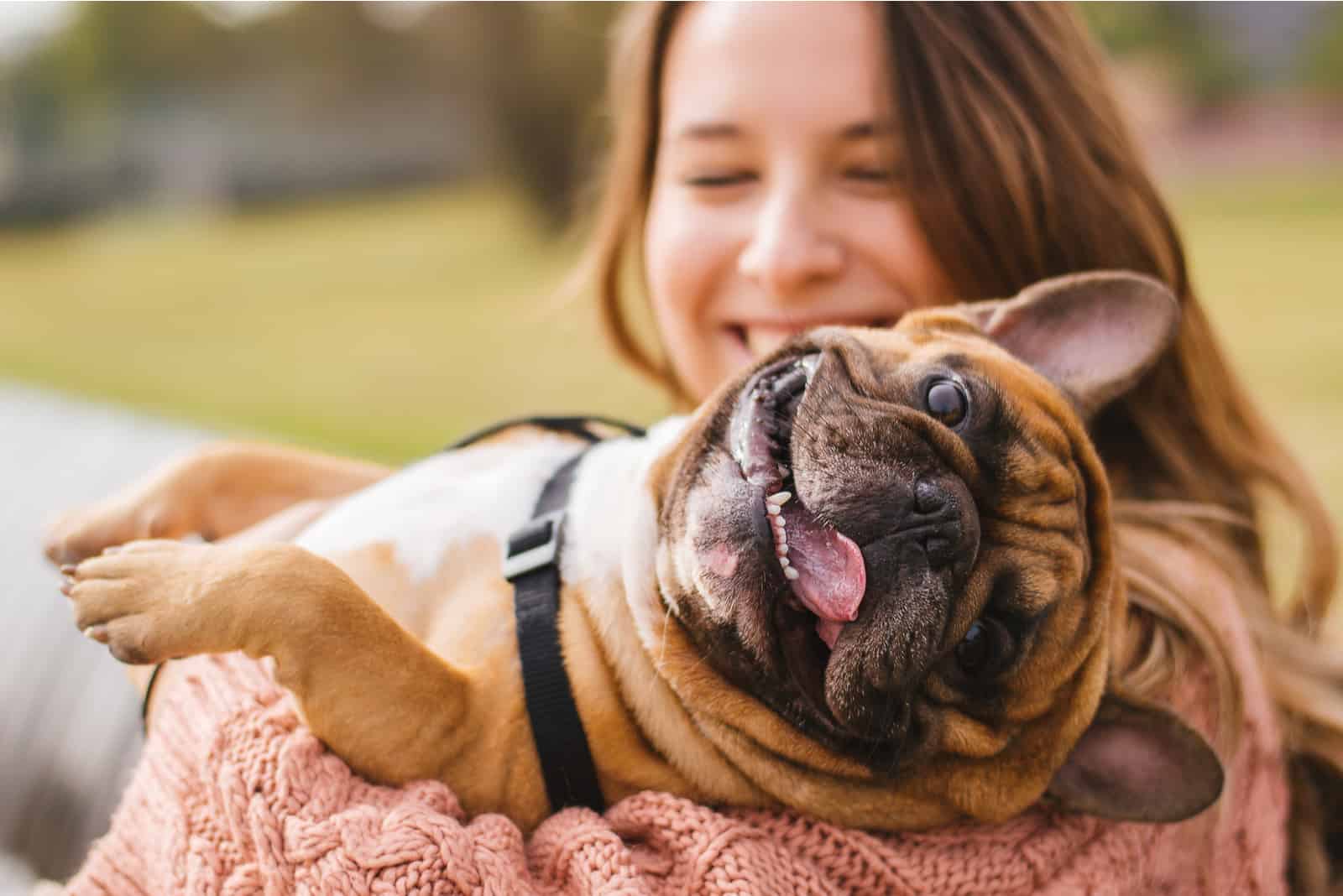 mujer sosteniendo un bulldog francés