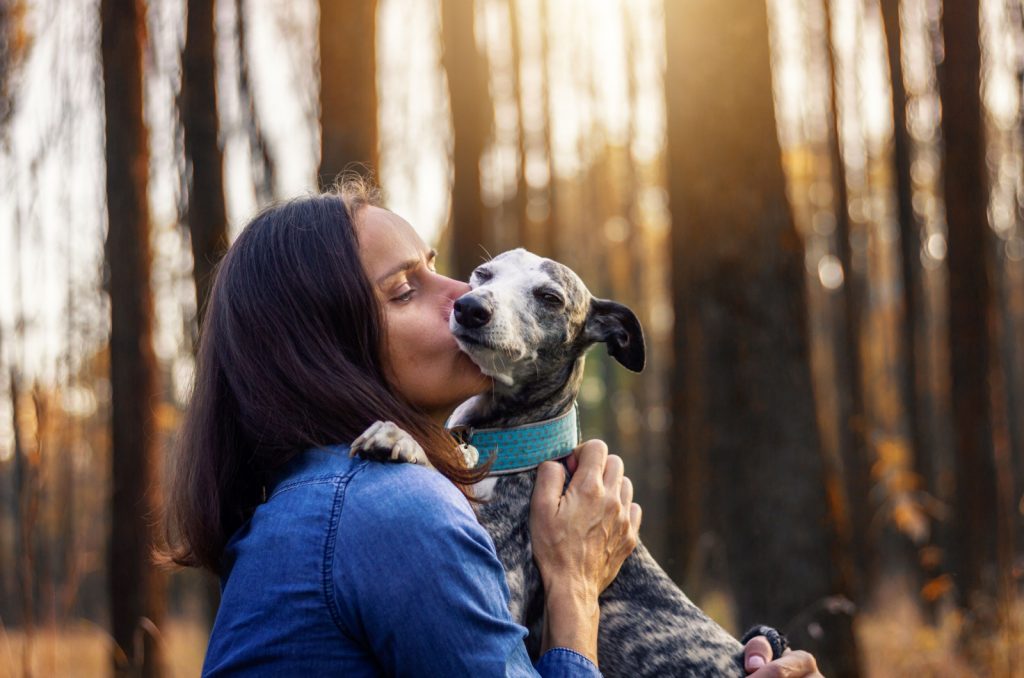 mujer besando a su whippet