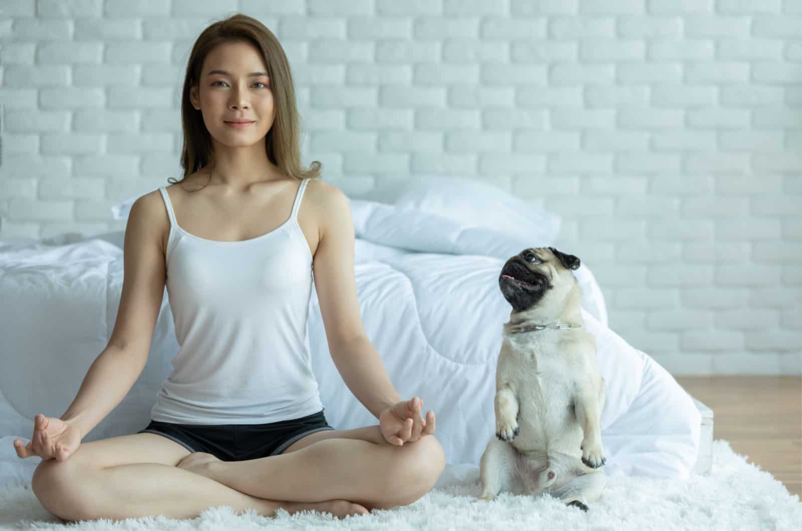 mujer meditando con pug como compañía