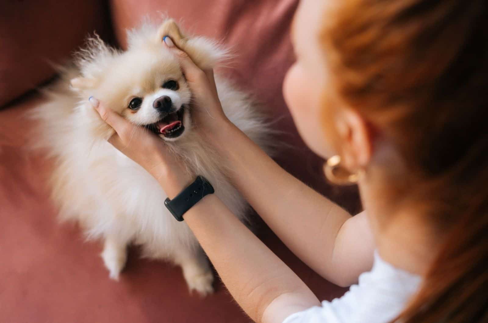 mujer acaricia a su perro en el sofá