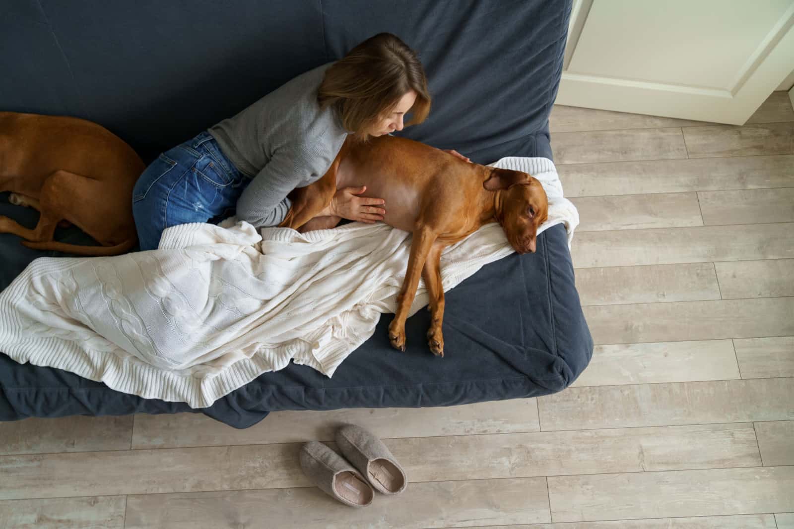 mujer tocando un perro con dolor abdominal