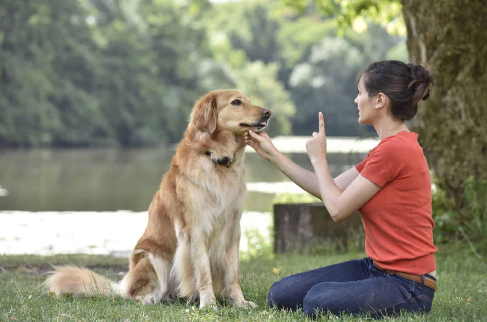mujer entrenando a un perro en el parque