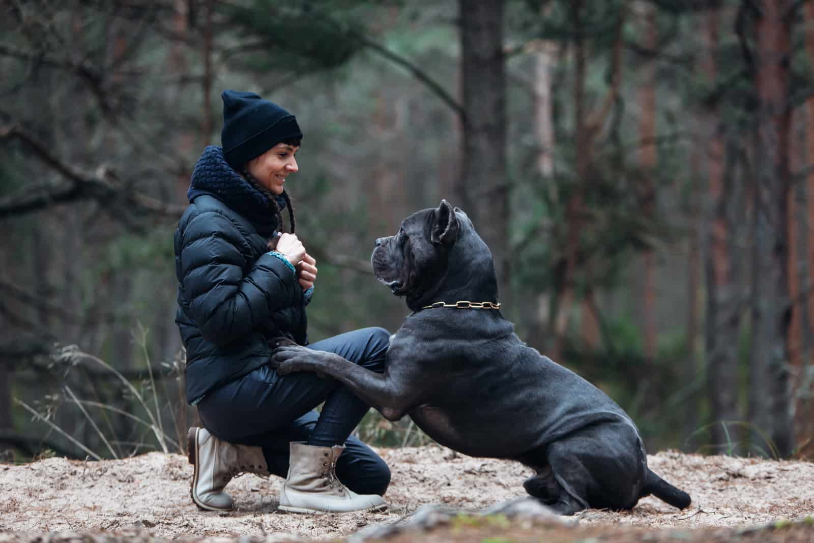 mujer entrenando a su mascota cane corso