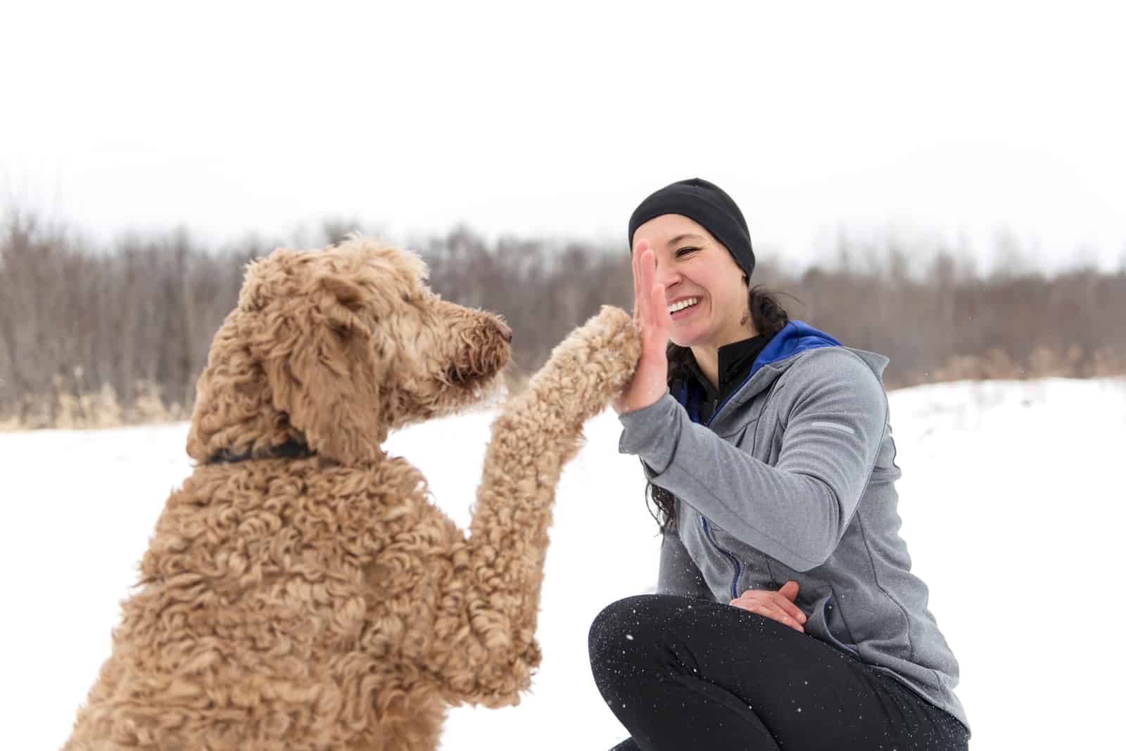 mujer entrena Goldendoodles