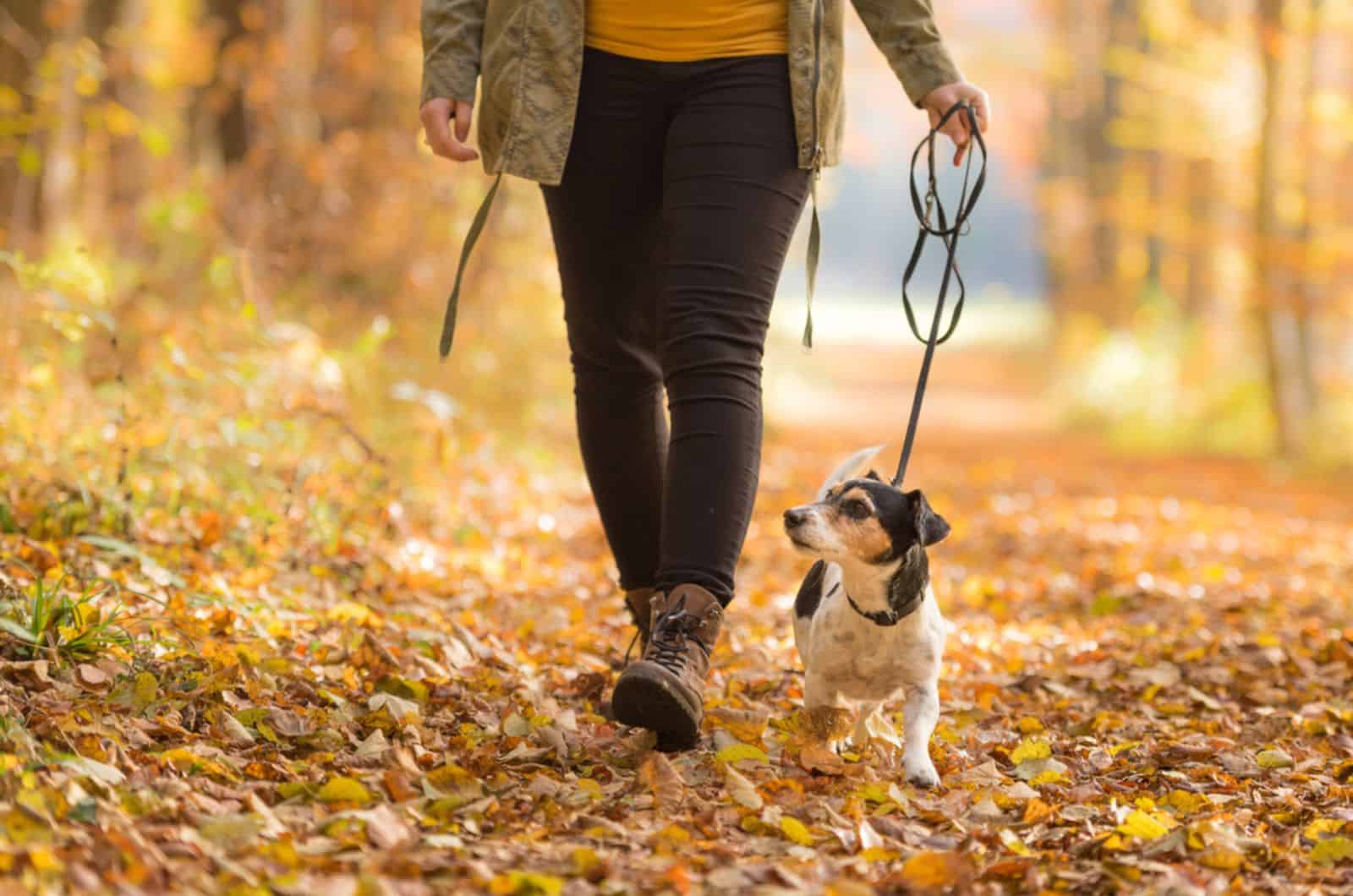 mujer caminando con su perro en el parque
