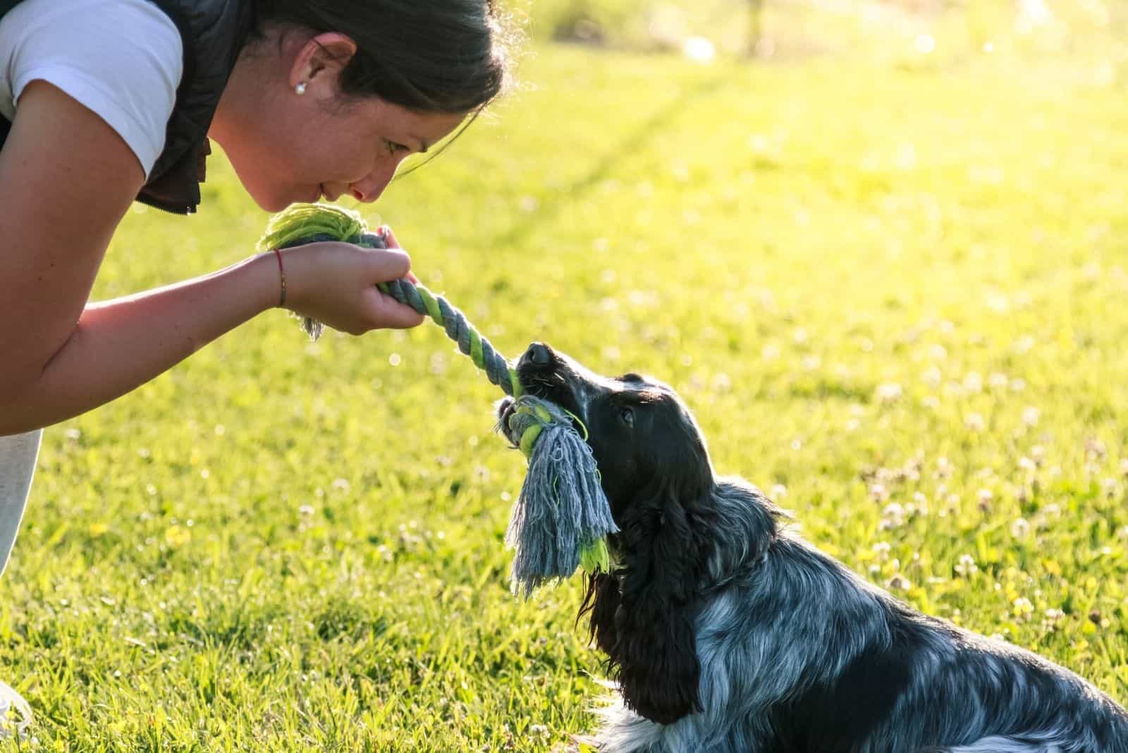 Mujer joven jugando con su cocker spaniel
