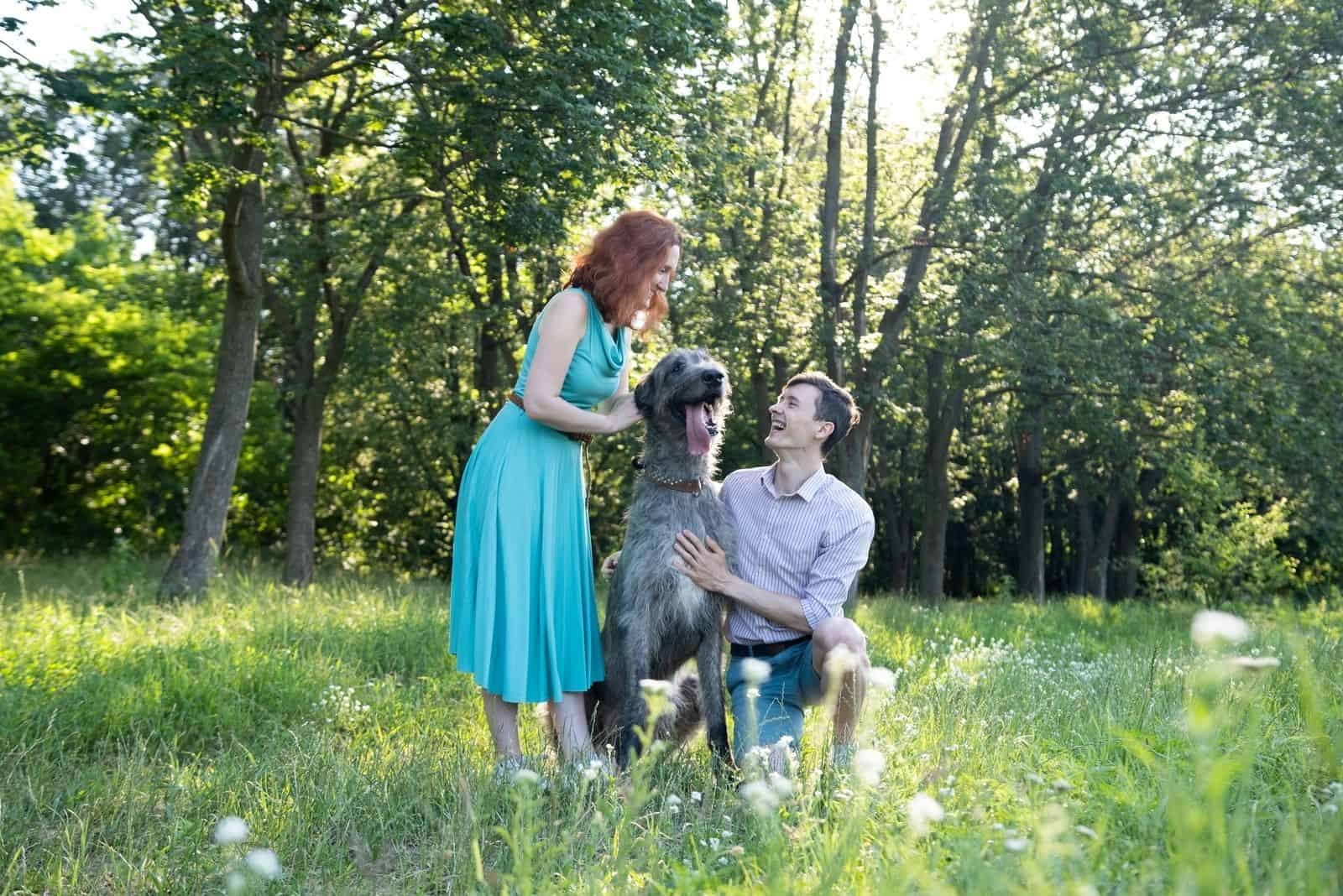 Familia joven acariciando a un lobo irlandés en el bosque