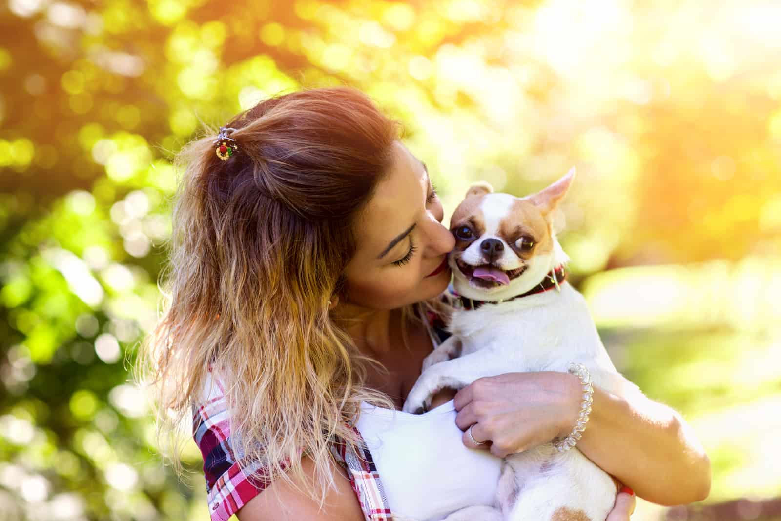 joven mujer sostiene un perro de raza Chihuahua