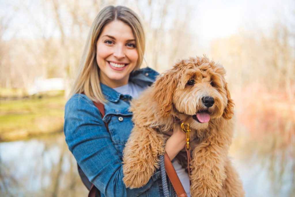 Perro Labradoodle feliz y mujer fuera en el parque