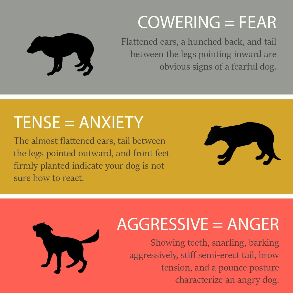 Lenguaje Corporal Canino que Indica Emociones Negativas