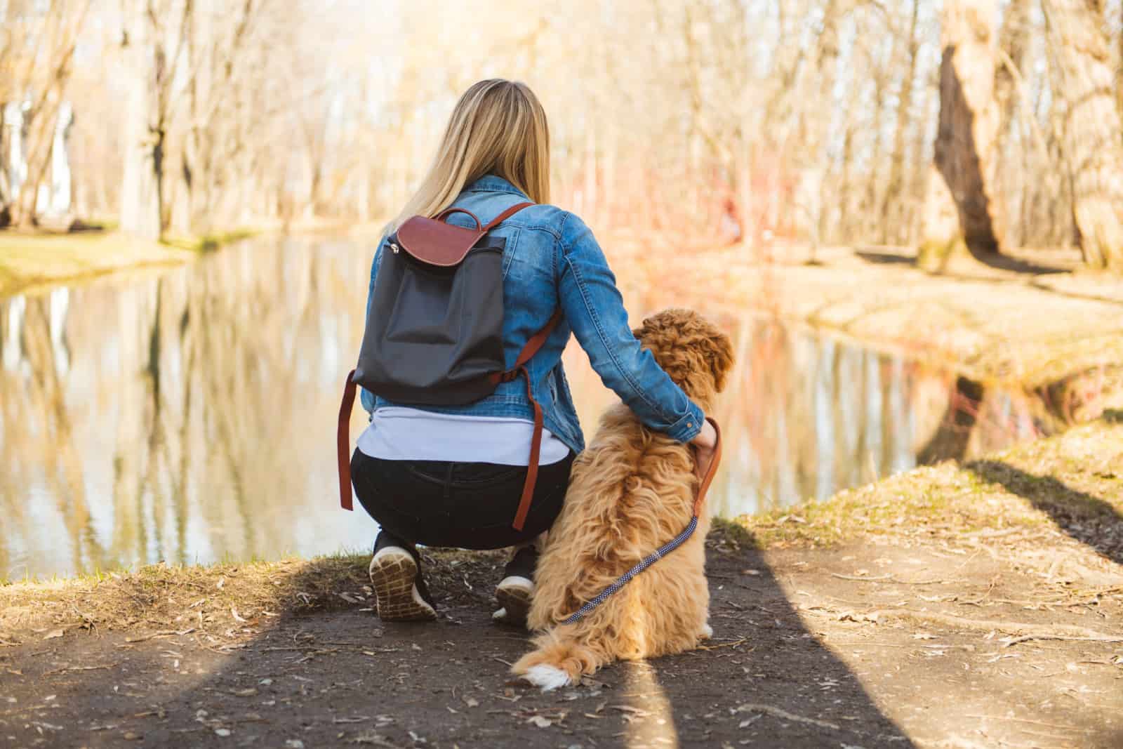 Perro Labradoodle y mujer vista desde atrás afuera en el parque