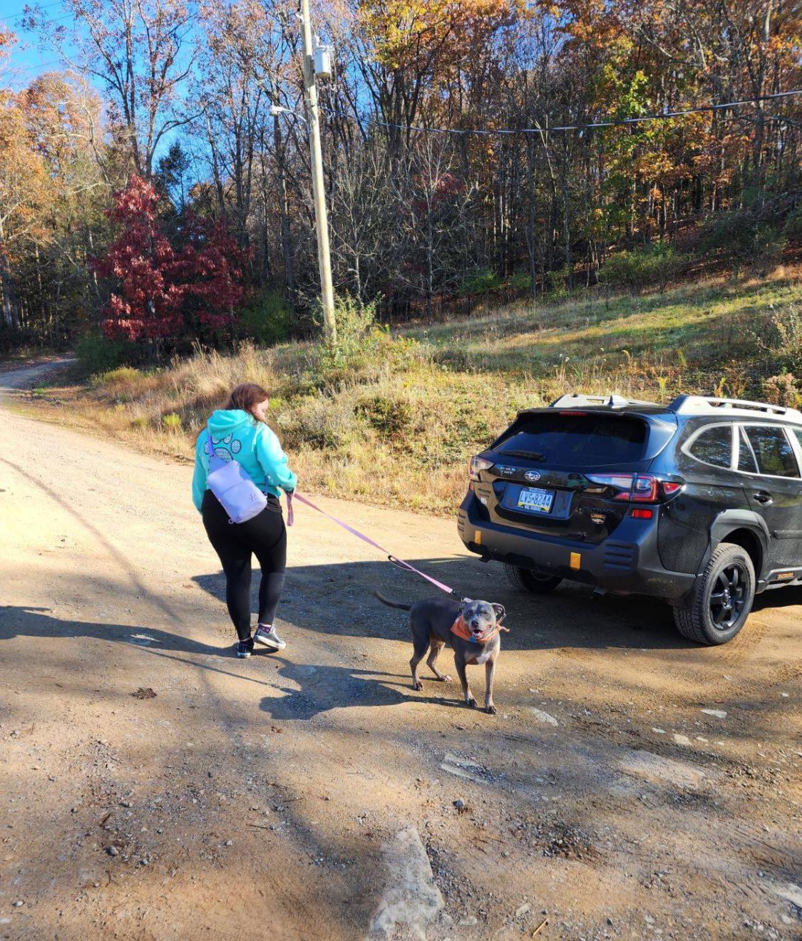 mujer caminando un perro