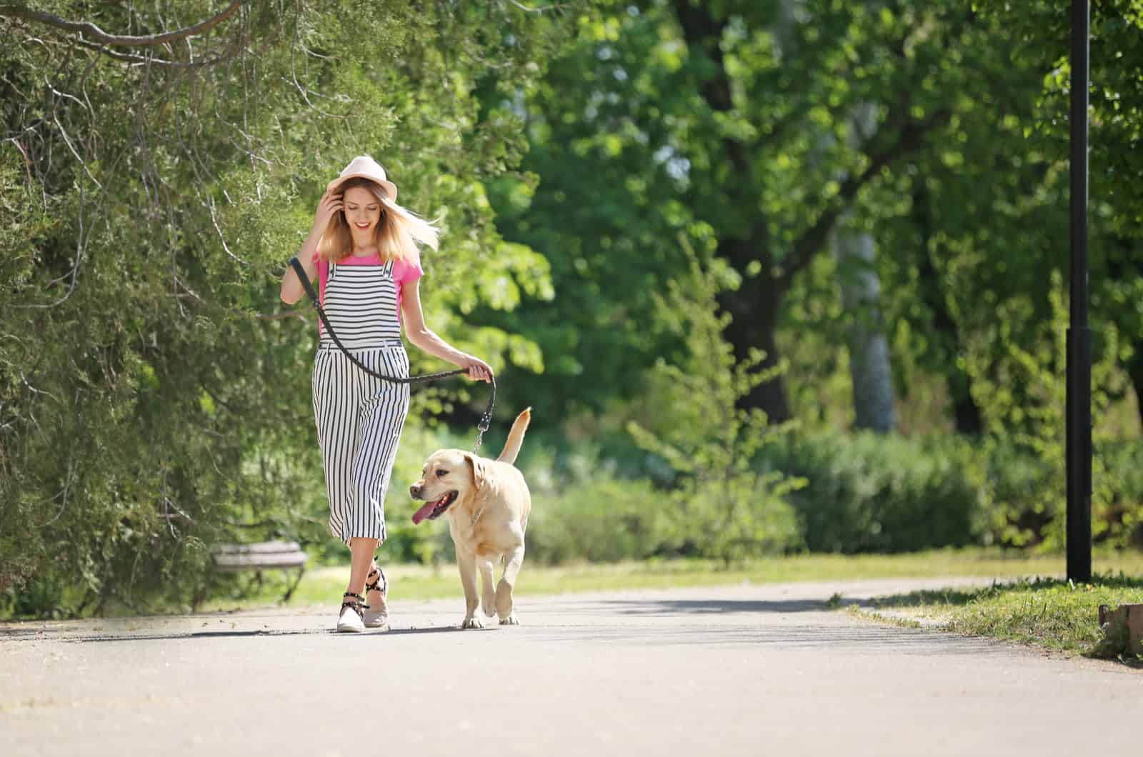 Joven mujer y su perro pasando tiempo juntos al aire libre